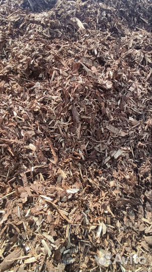 Кора хвойных пород мульча