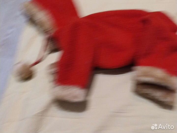 Одежда для маленьких собак