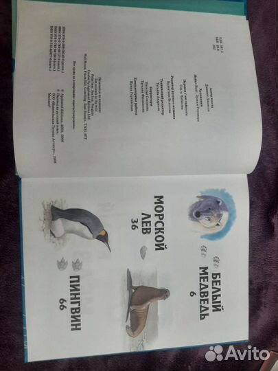 Книги о животных зоопарк