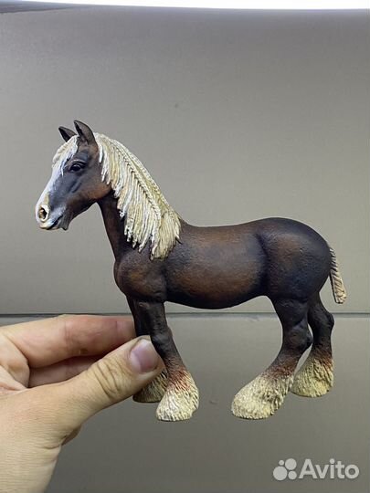 Кастом кобыла