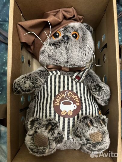 Кот басик Basik