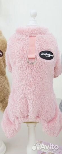 Одежда для собак