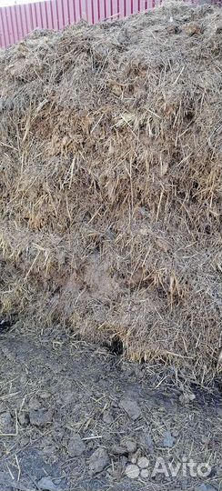 Коровий навоз