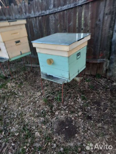 Пчелосемьи,рамки, улья