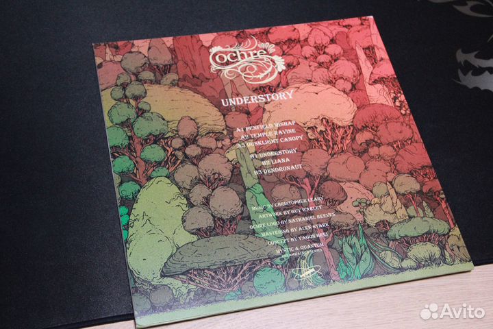 Личная коллекция виниловых пластинок