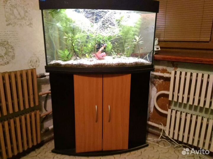 Аквариум фирмы 