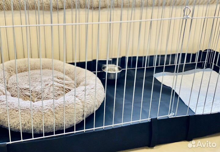 Вольер для собак