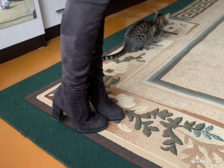 Сапоги зима