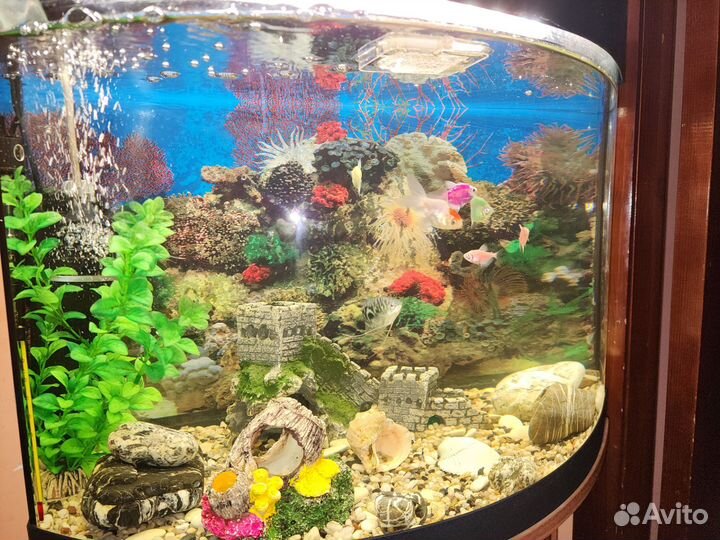 Аквариум с тумбой
