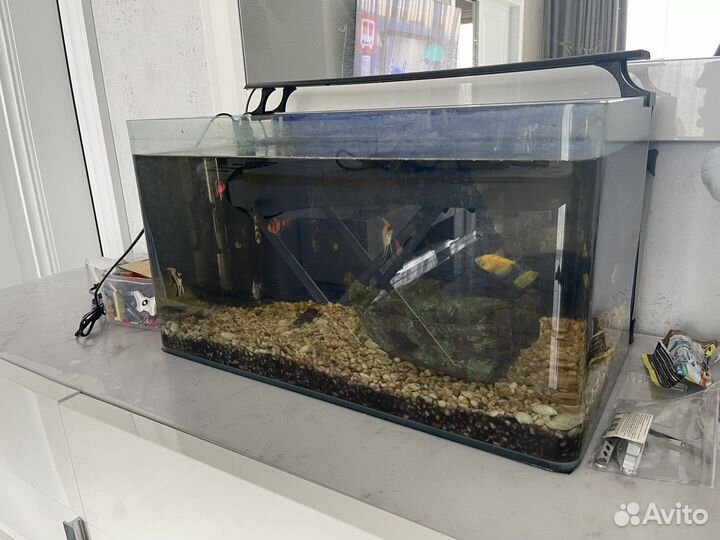 Аквариум с рыбками