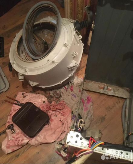 Ремонт стиральных и посудомоечных машин