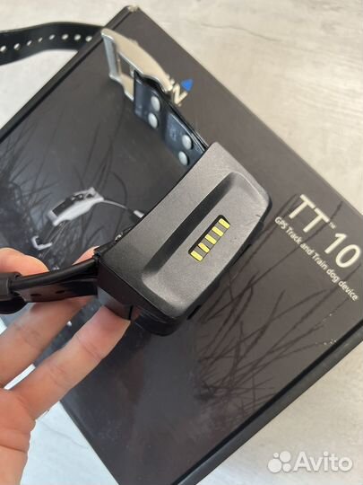 Ошейник Garmin