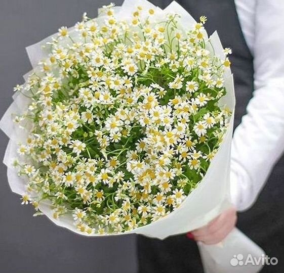 Ромашки Пионы Розы Доставка