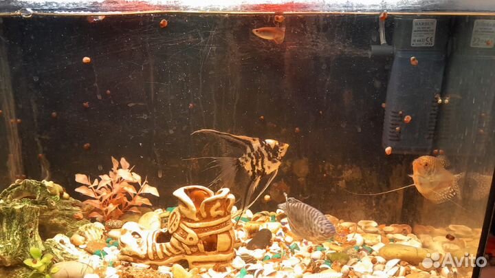 Аквариум с подсветкой и фильтром