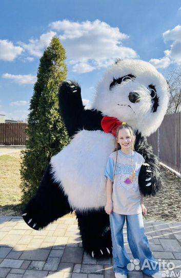 Черно белая панда