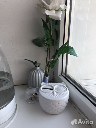 Сова Монетная банка