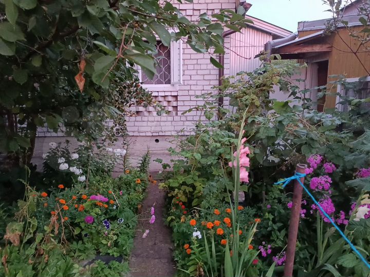 Дача 60 м² на участке 3 сот.