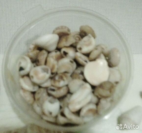 Ракушки, камушки, украшения для декора