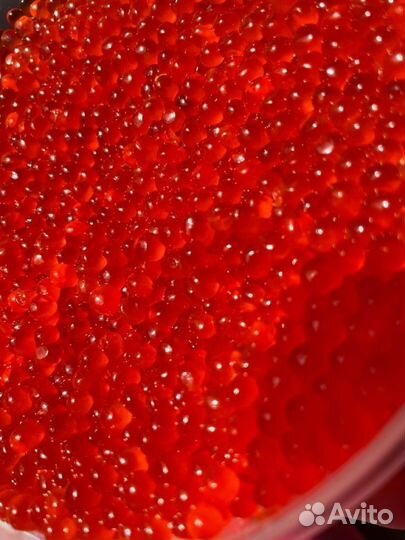 Красная икра камчатка