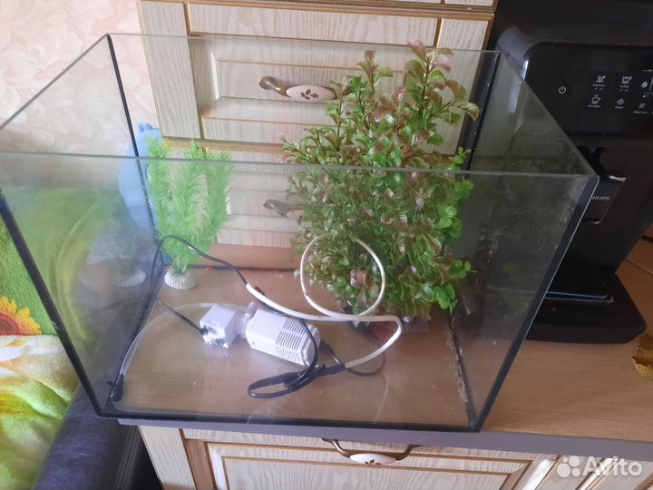 Аквариум