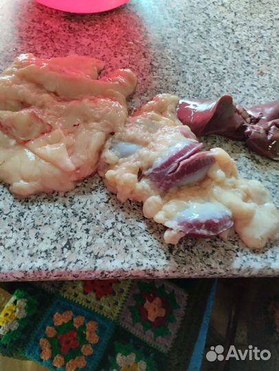 Индюки биг 6