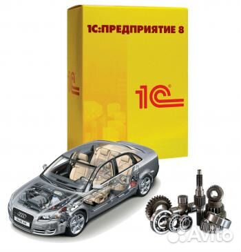 Обучение + Аудитор 1С Программист Альфа-Авто