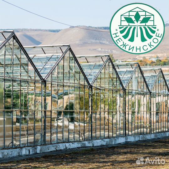Электрогазосварщик