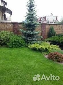 Укладка Рулонного газона