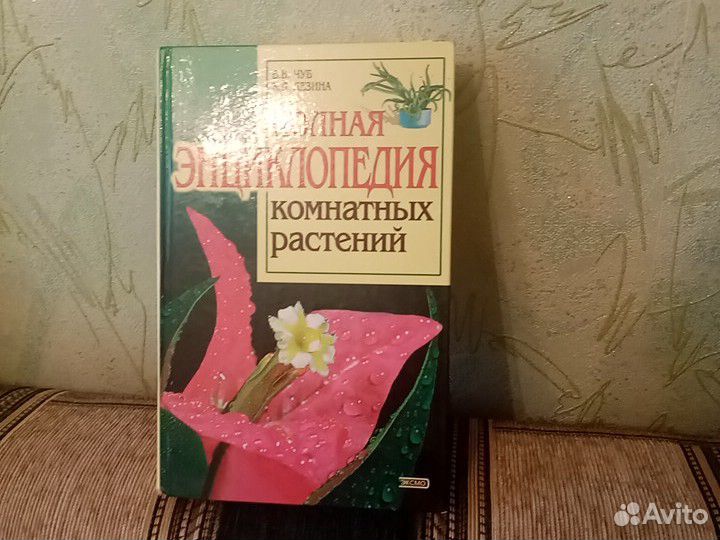 Энциклопедия, комнатных растений
