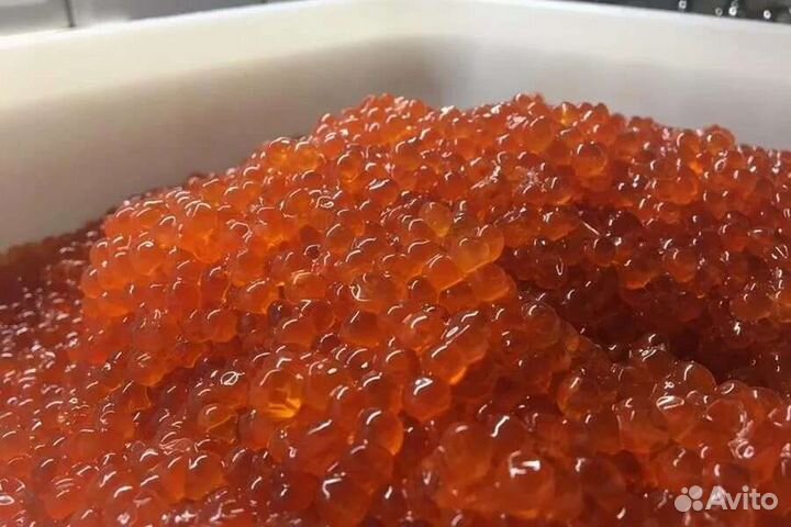 Красная икра 2023