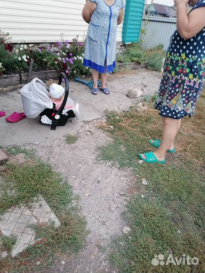 Коляска 3 в 1