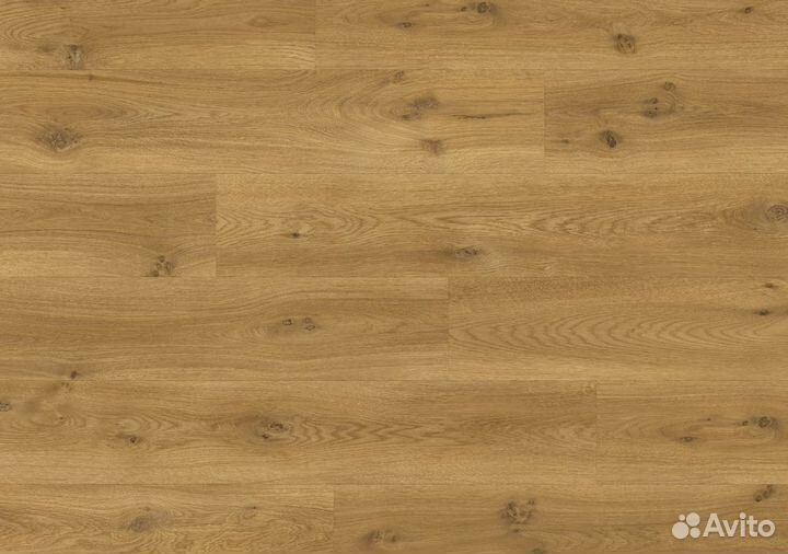 Пвх плитка, кварц виниловый ламинат Clix Floor Classic Plank Дуб яркий теплый натуральный cxcl40192