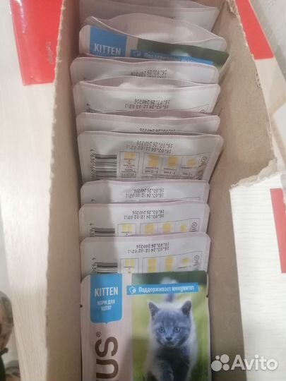 Влажный корм для кошек