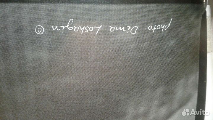 Фотографии Лошагина Дмитрия