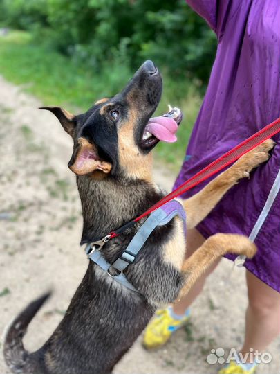 4 малыша из приюта мечтают о доме