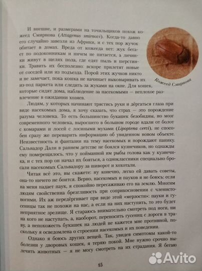 Познавательные книги для детей