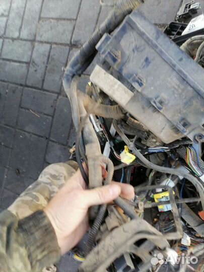 Проводка форд фокус 1.6 2003г cdda. мт