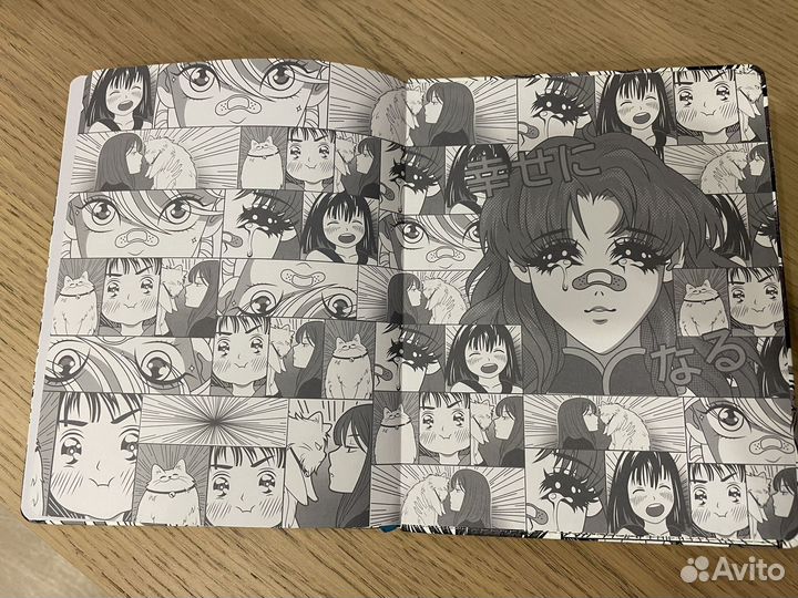 Школьный дневник аниме