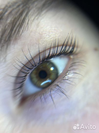 Вельвет, ламинирование ресниц, брови