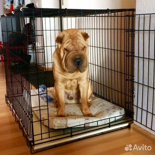 Клетка для перевозки собак