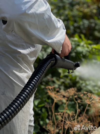 Дезинсекция. Уничтожение тараканов, клопов, мышей