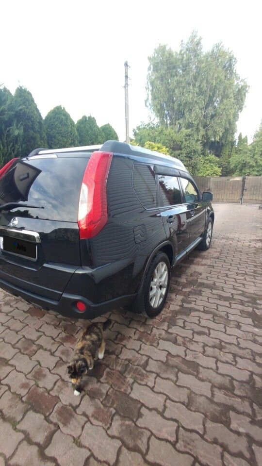 Nissan X-Trail: фото владельца