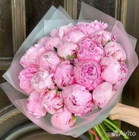 Пионы Букет пионов