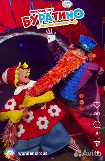 Два билета в цирк чудес за 3000р