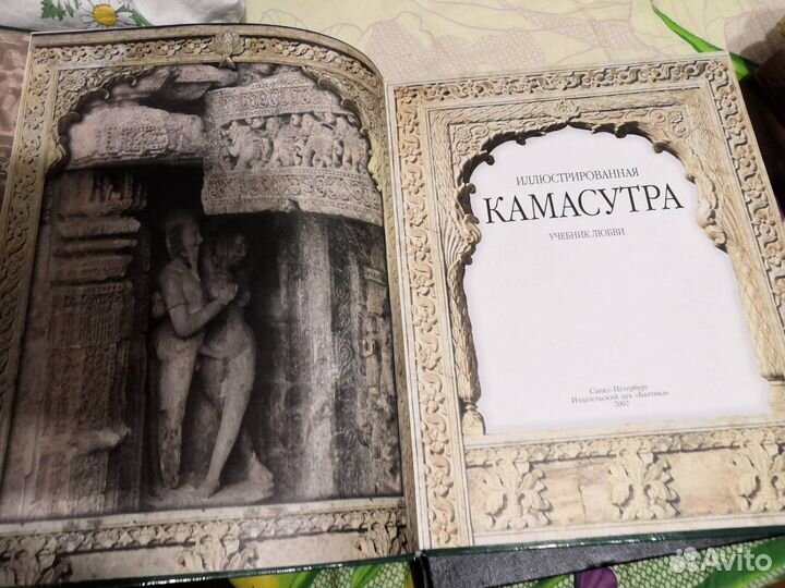 Иллюстрированная Камасутра. Учебник любви