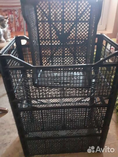 Ящики пластиковые и банановые для овощей бу