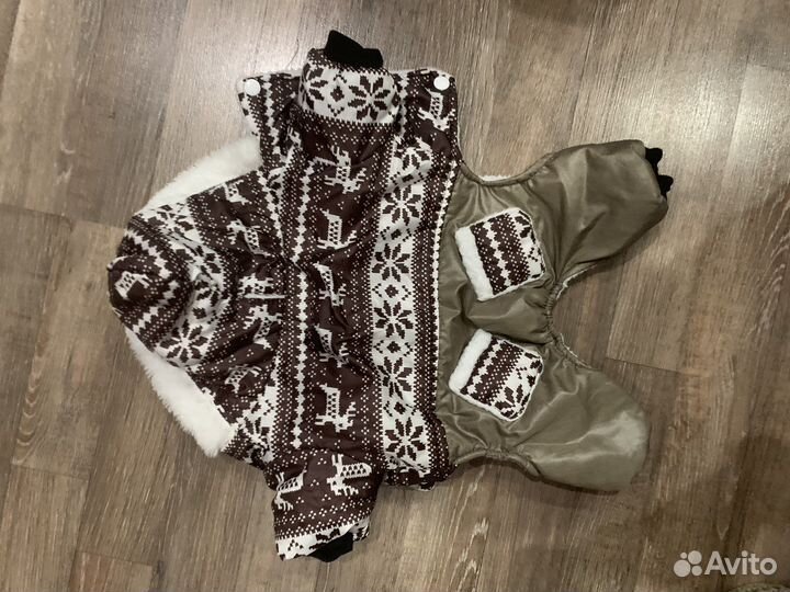 Костюм для собаки
