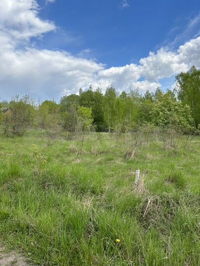 Участок 15 сот. (ИЖС)