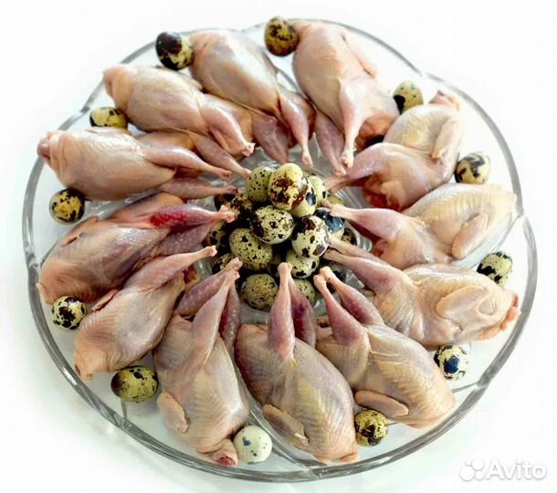 Мясо говядина,баранина