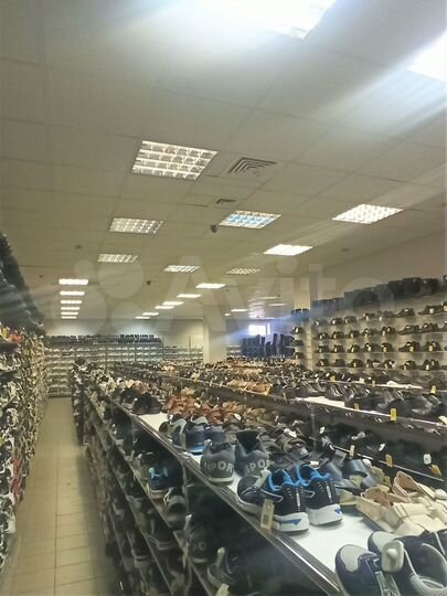 Торговая площадь в ТЦ 